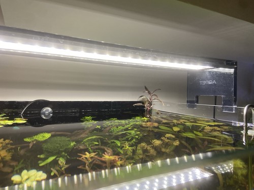 Lampada led aqpet - lampada,