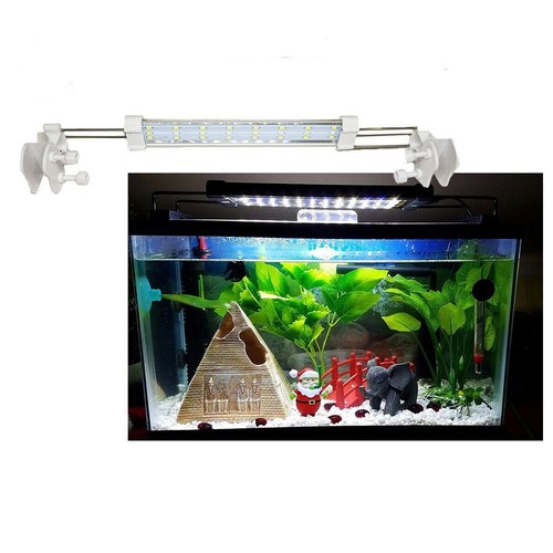 Lampada acquario led - acquario,