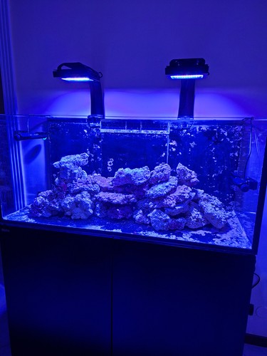 Lampada per acquario - lampada,