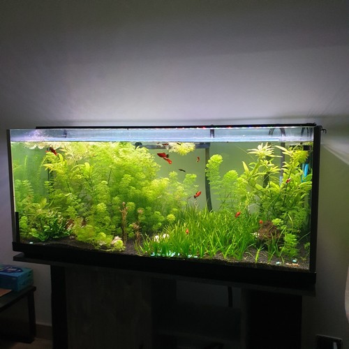 Lampada led acquario - lampada, 80cm