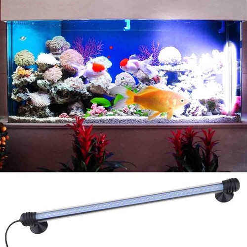 Lampada immersione led per - led,